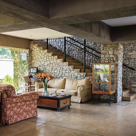 Hippo Hollow Country Estate Гейзівью Екстер'єр фото